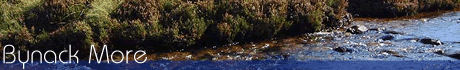 Bynack More Title Image