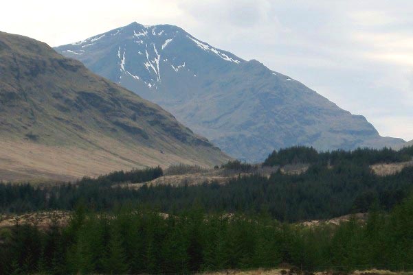 ben lui